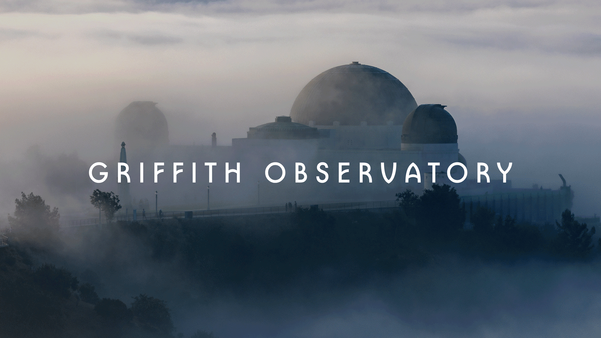 Indigo Design Award - Freelancer of the Year of the Year